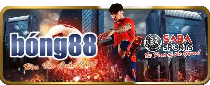 Phản hồi và đóng góp